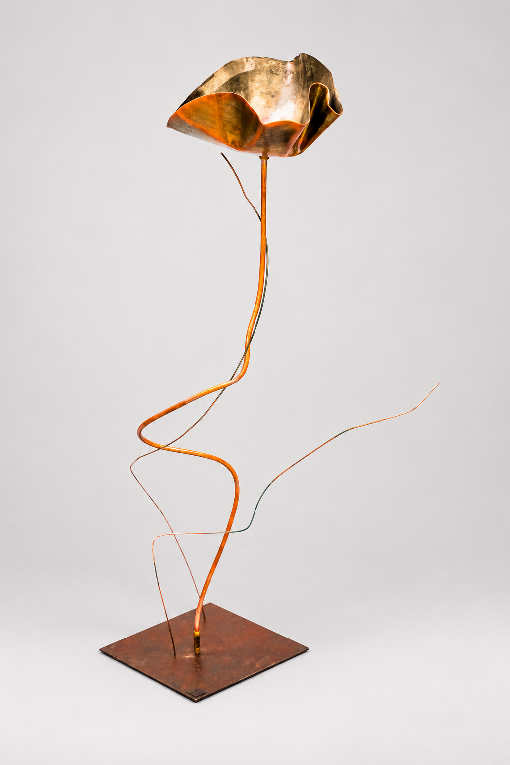 Hot Poppy indoor and outdoor art by Unperfect Design