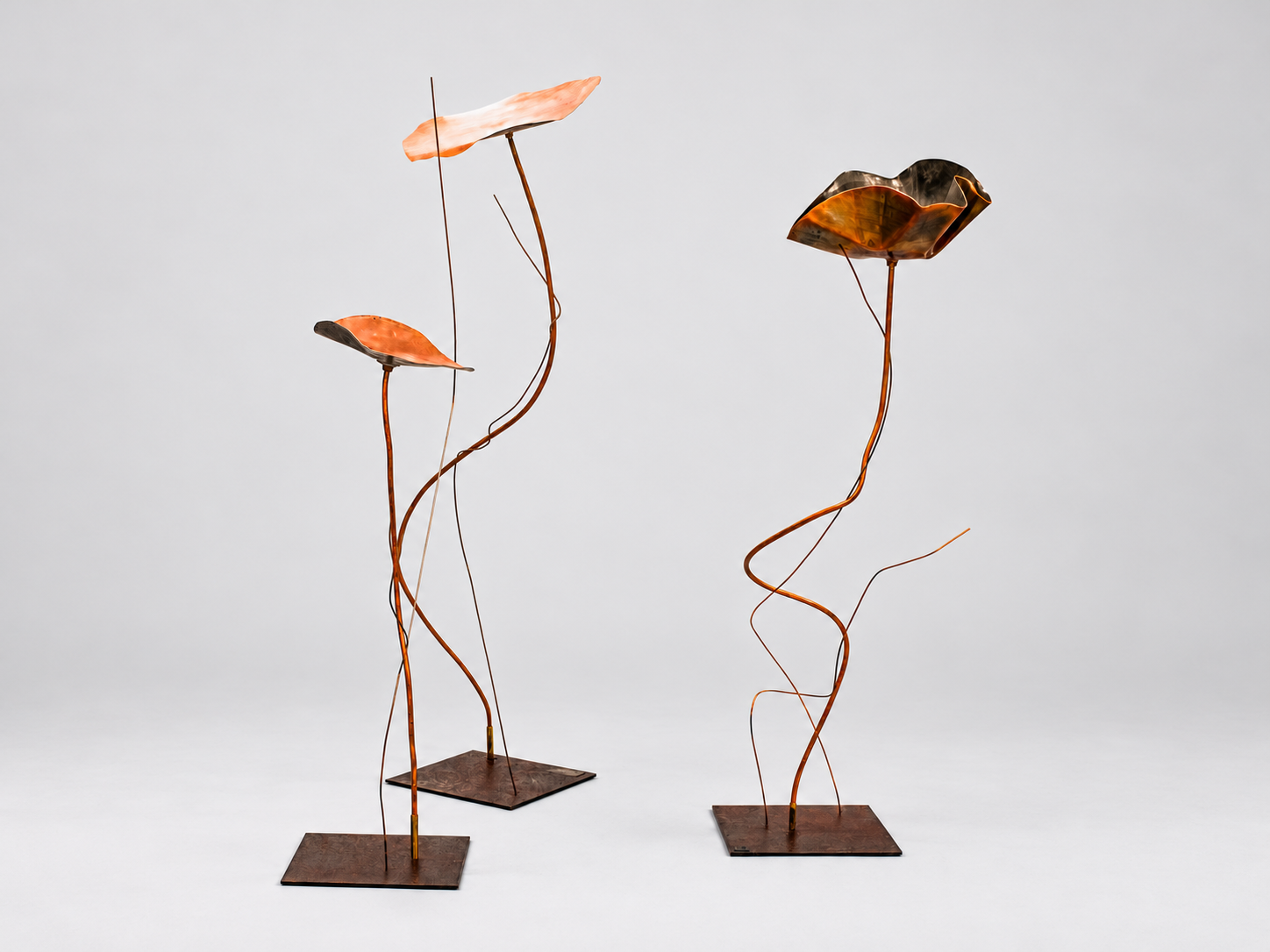 Outdoor Art also usable indoor Hot Poppy